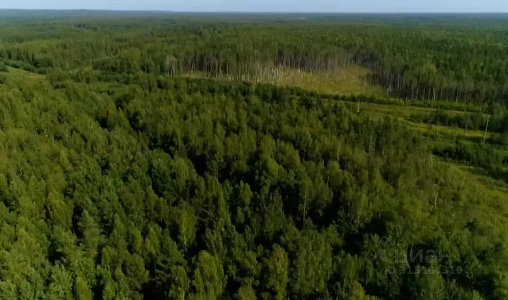 Участок в Владимирская область, Александровский район, ... - Фото 1