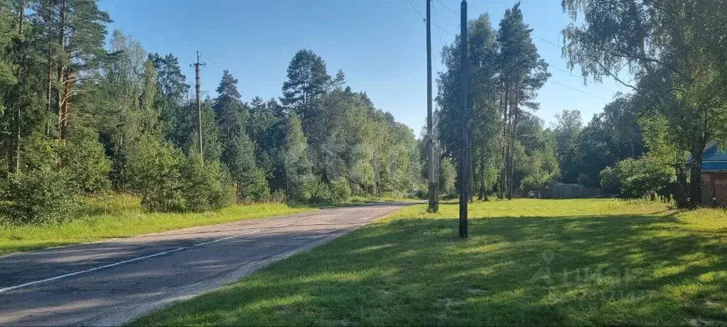 Дом в Брянская область, Клетнянский район, Мирнинское с/пос, д. Добрая ... - Фото 1