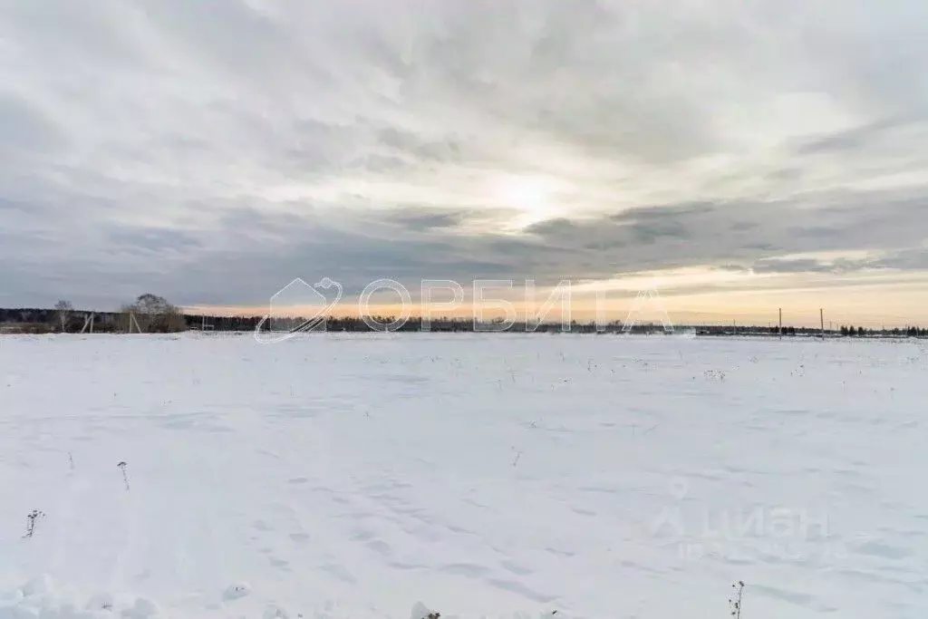 Участок в Тюменская область, Тюменский район, с. Горьковка Сибирская ... - Фото 0