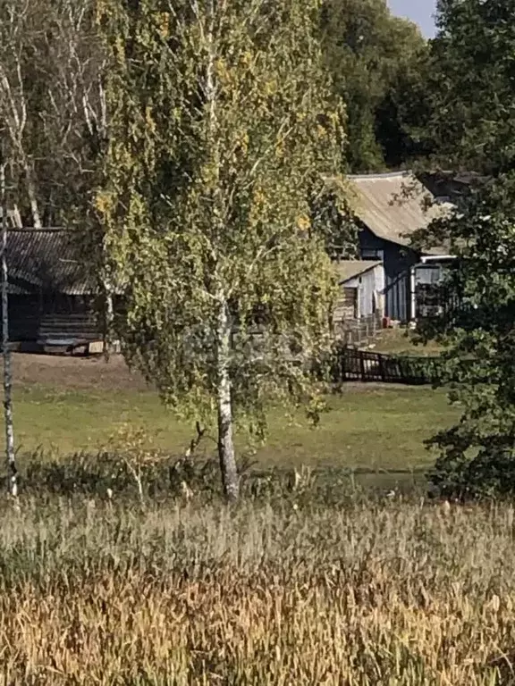 Участок в Брянская область, Брянский район, Глинищевское с/пос, д. ... - Фото 1