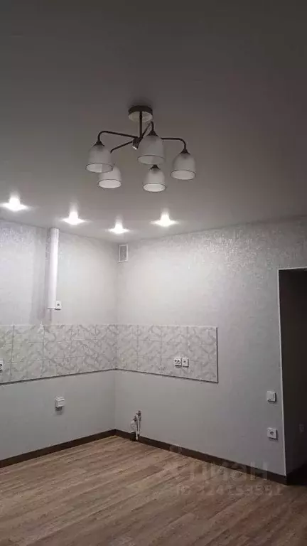 Студия Краснодарский край, Анапа Анапское ш., 24к7 (30.0 м) - Фото 2