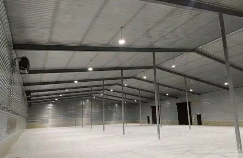 Склад в Ленинградская область, Тельмана Тосненский район, ул. ... - Фото 2