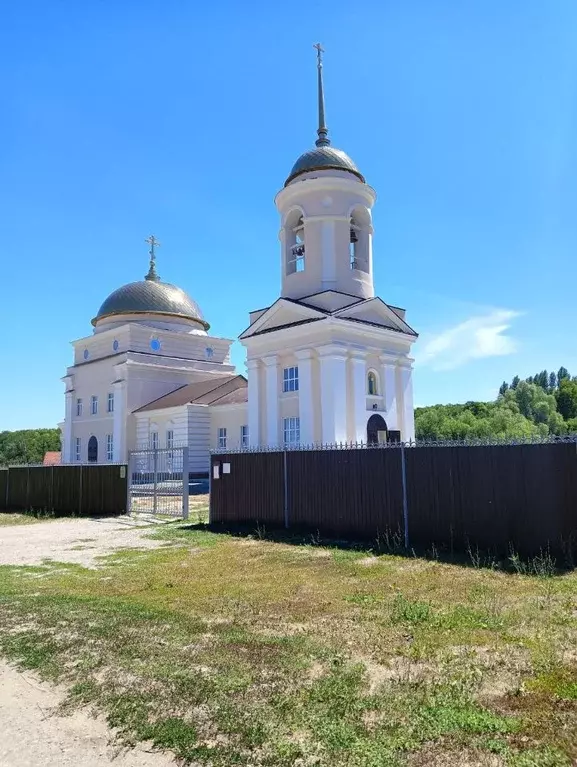 Участок в Саратовская область, Базарно-Карабулакский район, ... - Фото 1