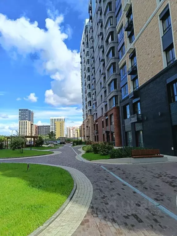 Комната Алтайский край, Барнаул ул. 280-летия Барнаула, 26 (14.0 м) - Фото 1