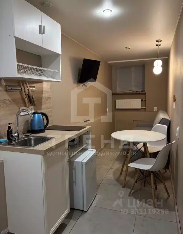 Студия Санкт-Петербург ул. Чехова, 3 (12.0 м) - Фото 1