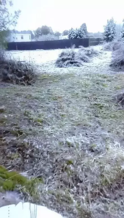 Участок в Брянская область, Брянск Надежда садоводческое товарищество, ... - Фото 1