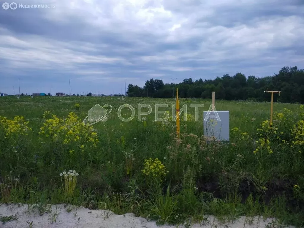 Участок в Тюменский район, село Каменка (9.18 м) - Фото 1
