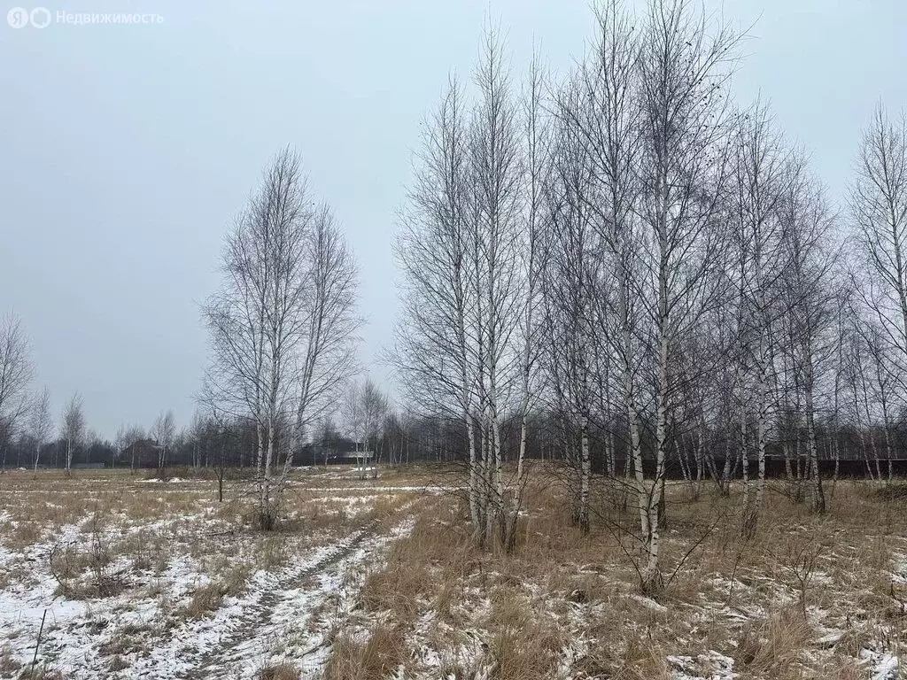 Участок в Раменский городской округ, село Татаринцево (6 м) - Фото 0