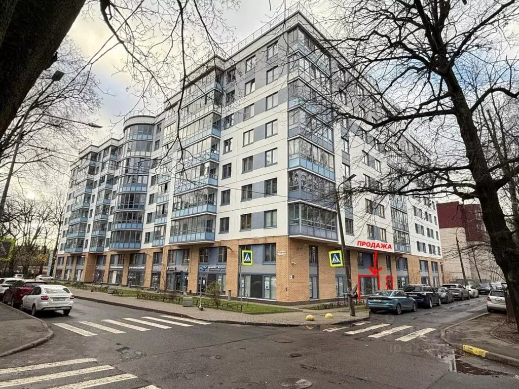 Помещение свободного назначения в Санкт-Петербург Костромской просп., ... - Фото 1