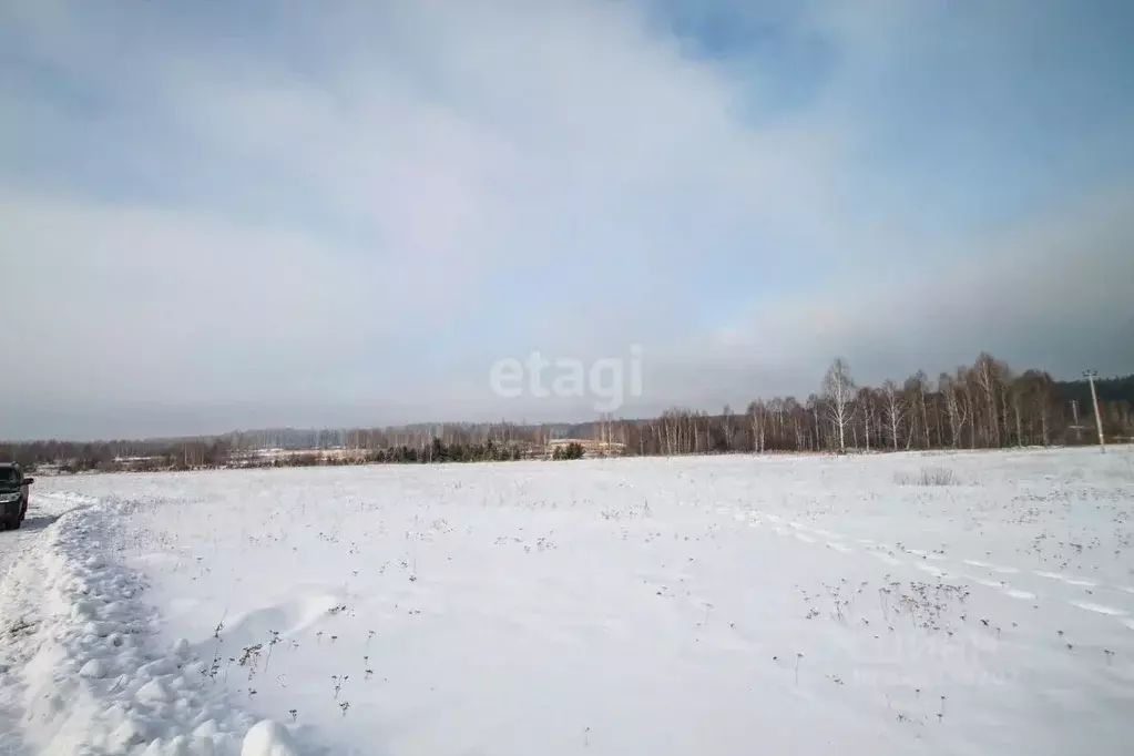 Участок в Свердловская область, Заречный муниципальный округ, с. ... - Фото 1