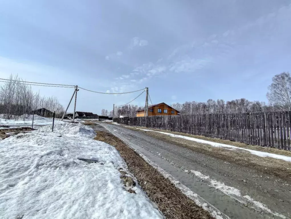 Участок в Новосибирская область, Новосибирский район, с. Плотниково, ... - Фото 1