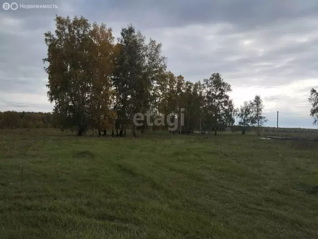 Участок в Новосибирский район, Верх-Тулинский сельсовет, СНТ Романтик ... - Фото 1