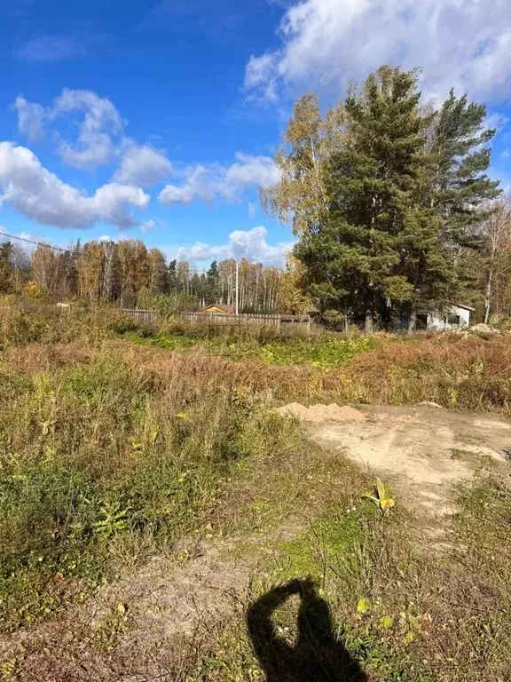 Участок в Новосибирская область, Новосибирский район, Барышевский ... - Фото 0