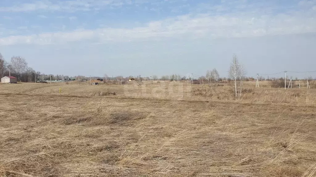 Участок в Кемеровская область, Кемеровский муниципальный округ, пос. ... - Фото 0