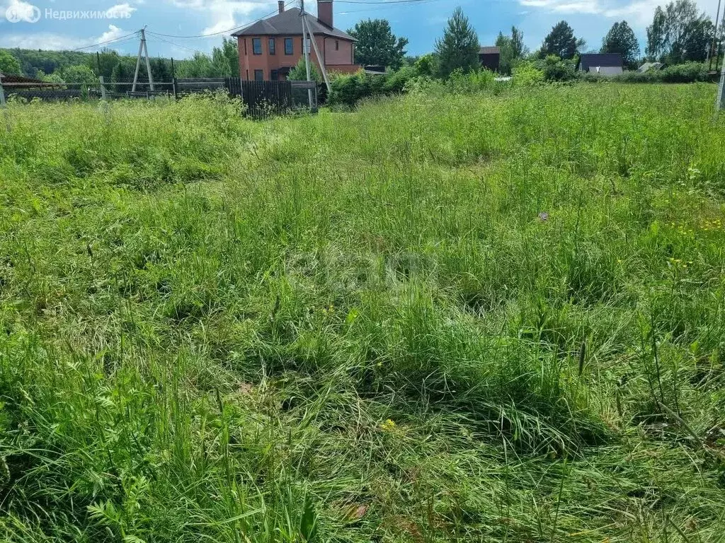 Участок в Красносельский район, Боровиковское сельское поселение, ... - Фото 1