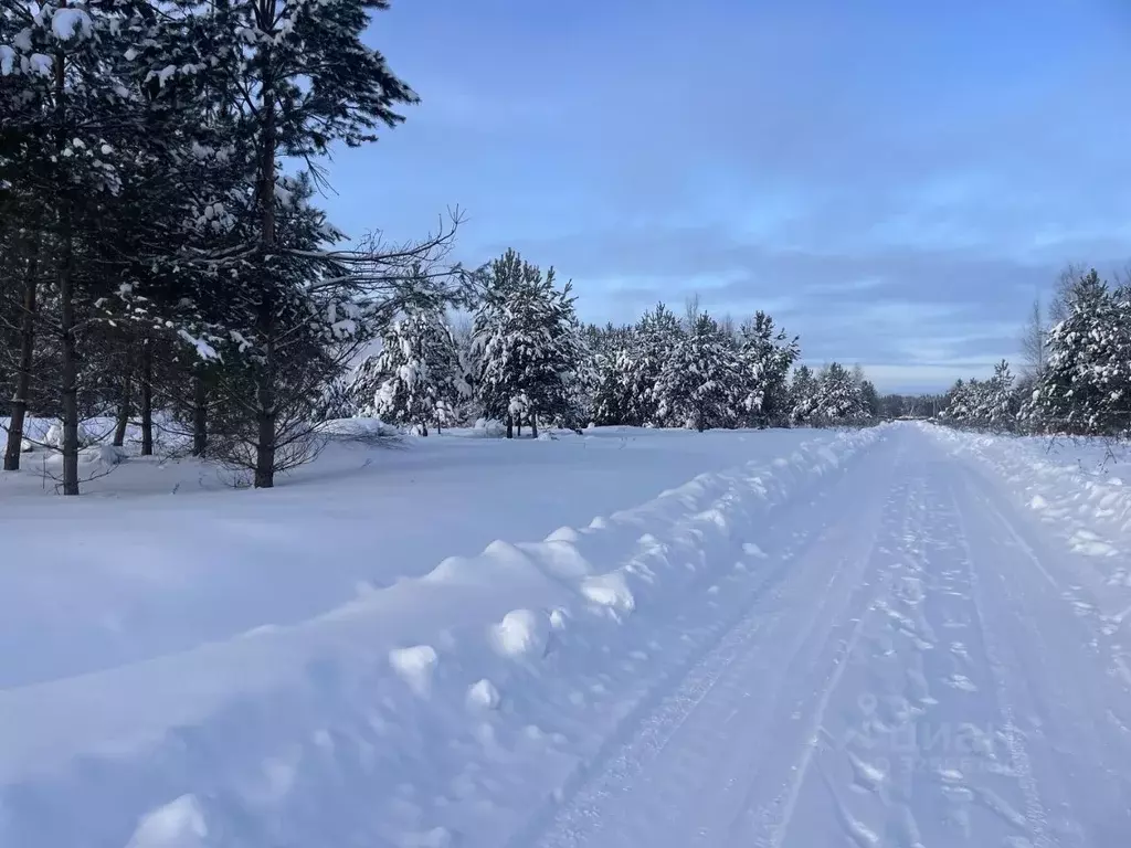 Участок в Московская область, Ступино городской округ, д. Протасово ... - Фото 2