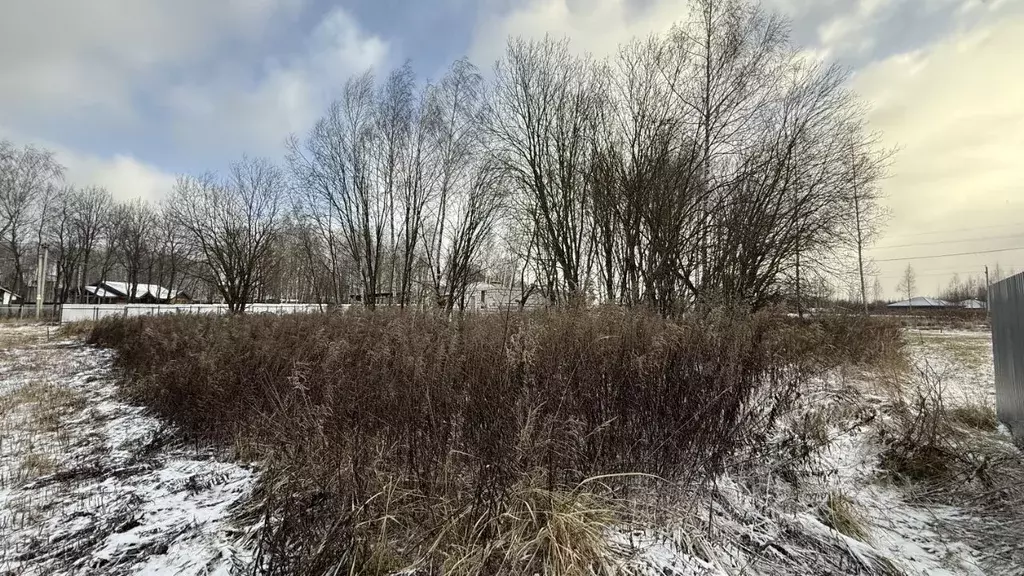 Участок в Тульская область, Тула городской округ, д. Харино  (12.0 ... - Фото 2