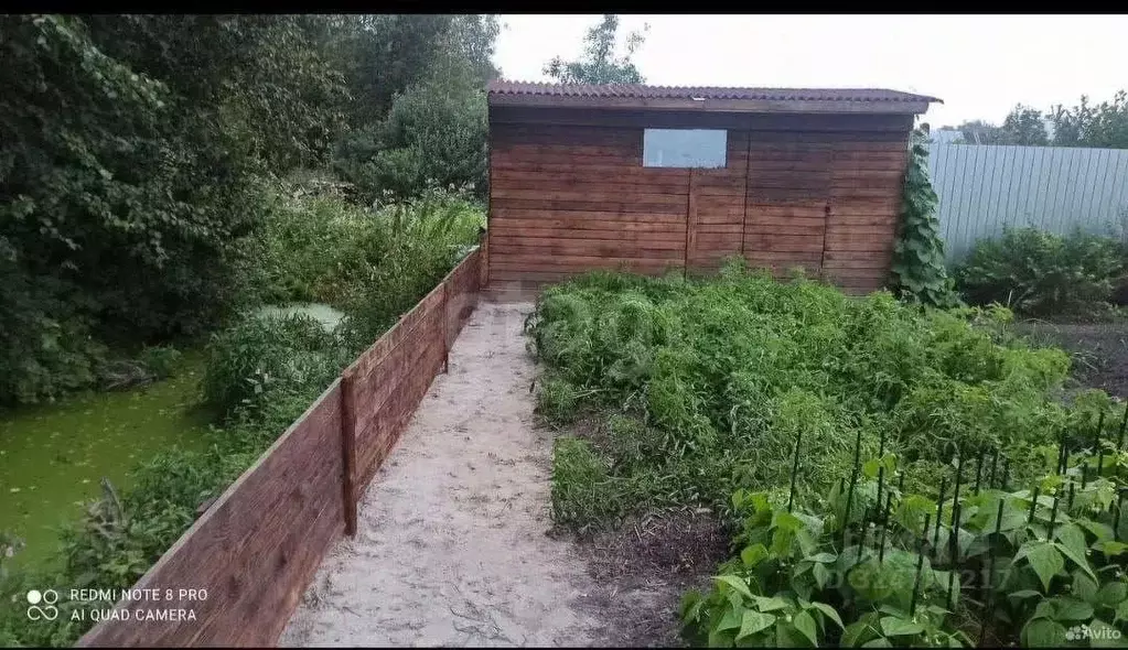 Участок в Тюменская область, Тюменский муниципальный округ, Звездочка ... - Фото 1