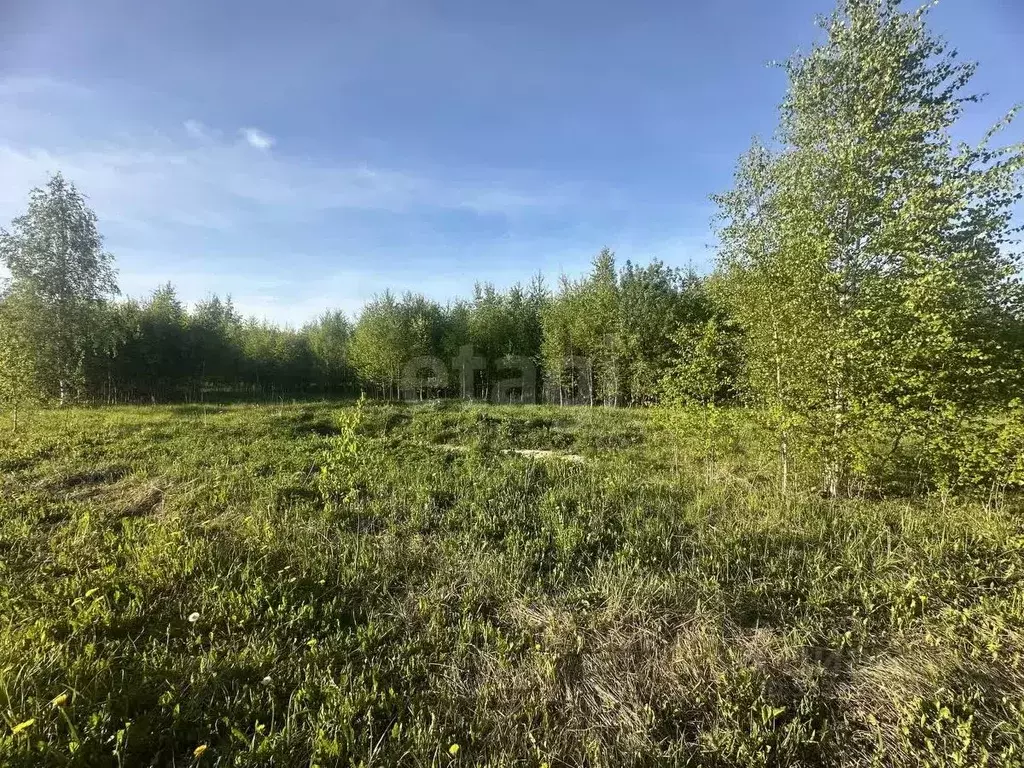 Участок в Ярославская область, Ярославский муниципальный округ, Росток ... - Фото 2