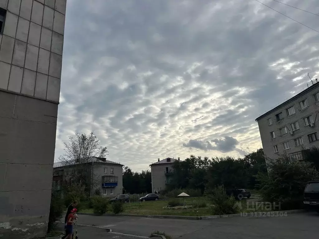 Студия Курганская область, Курган Половинская ул., 8Б (14.3 м) - Фото 2