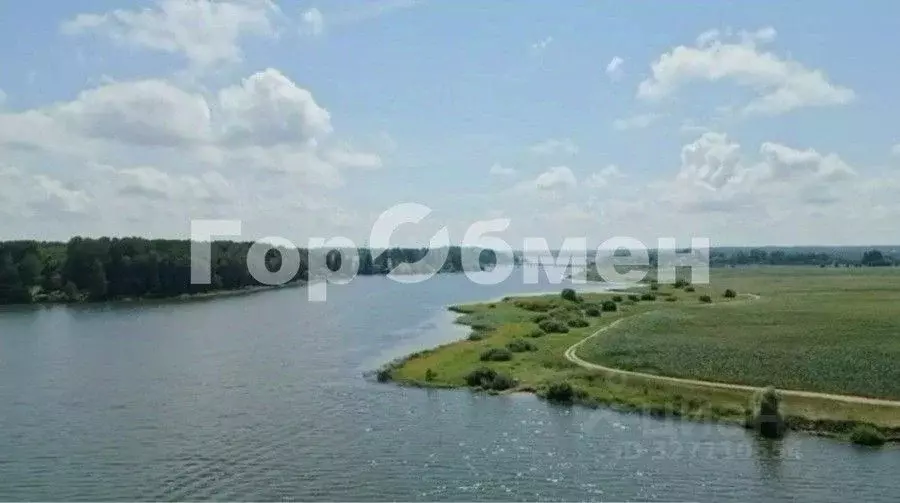 Участок в Московская область, Волоколамский муниципальный округ, Новое ... - Фото 2