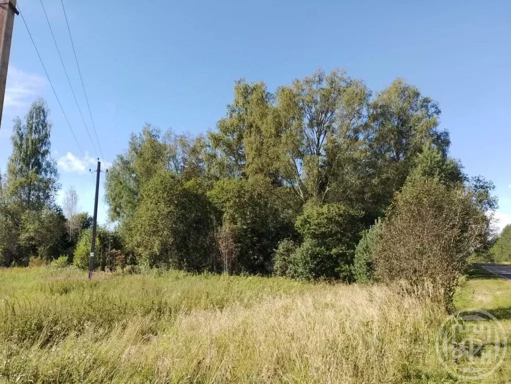 Участок в Ленинградская область, Лужский район, пос. Оредеж ул. ... - Фото 1