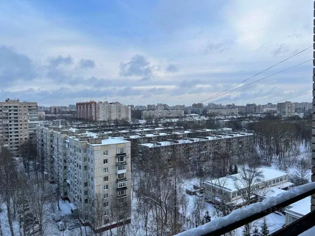 2-к кв. Санкт-Петербург просп. Космонавтов, 24 (55.7 м) - Фото 2