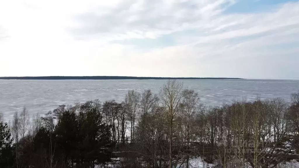 Участок в Ленинградская область, Выборгский район, Приморское ... - Фото 1