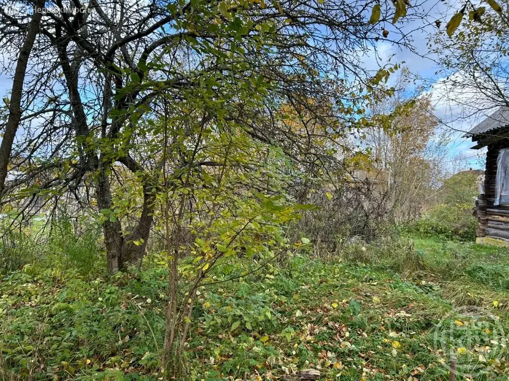 Дом в посёлок Торковичи, посёлок станции Торковичи (50 м) - Фото 1