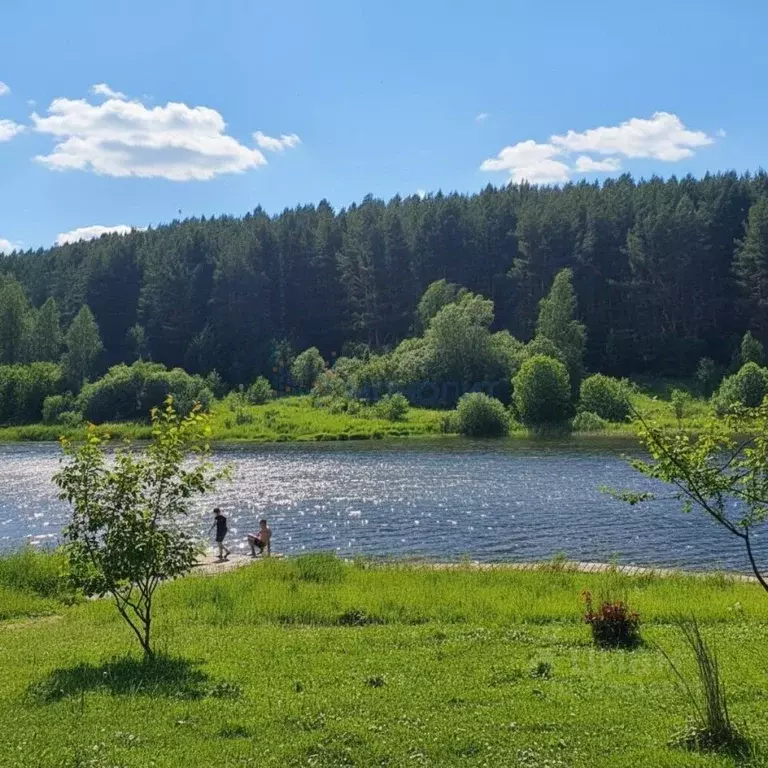 Дом в Нижегородская область, Вачский муниципальный округ, с. Беляйково ... - Фото 2