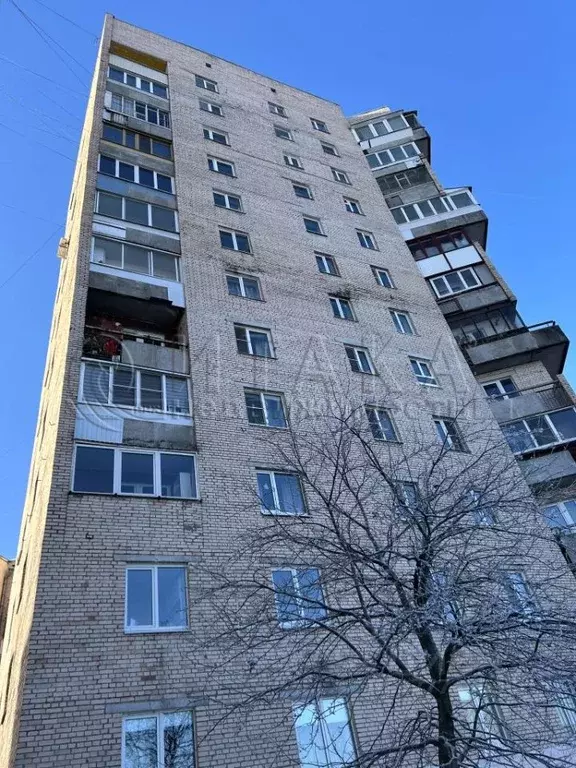 3-к кв. Санкт-Петербург Тихорецкий просп., 39 (50.7 м) - Фото 2