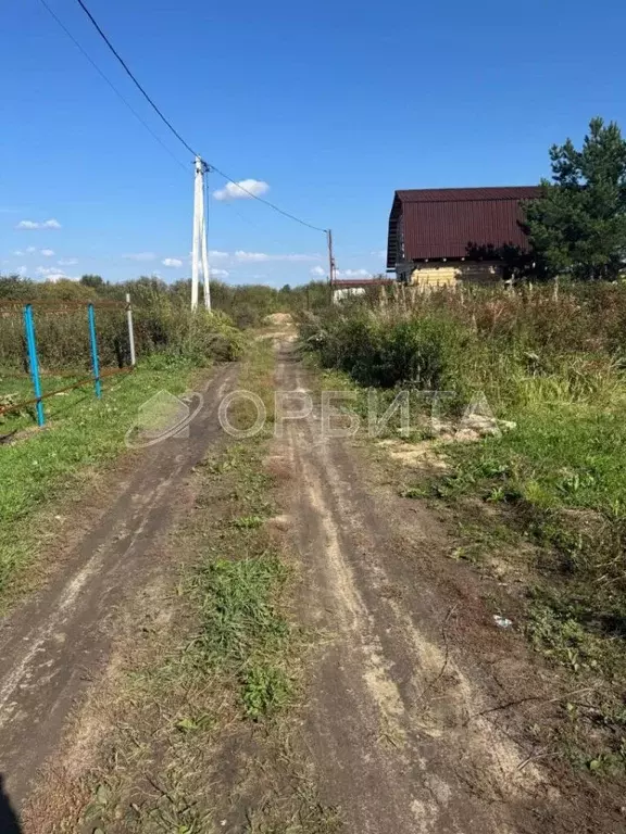Участок в Тюменская область, Тюмень Рябинка-2 садовое товарищество, ... - Фото 1