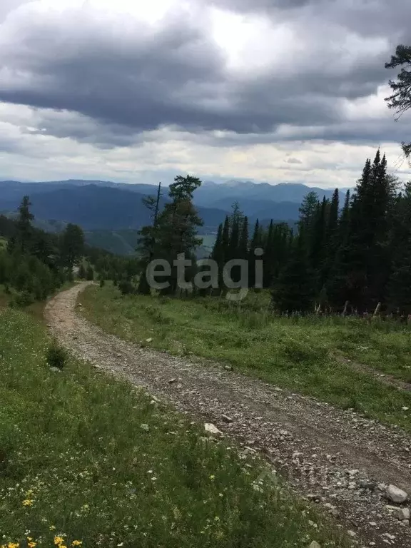 Участок в Алтай, Усть-Коксинский район, с. Усть-Кокса  (260.2 сот.) - Фото 1