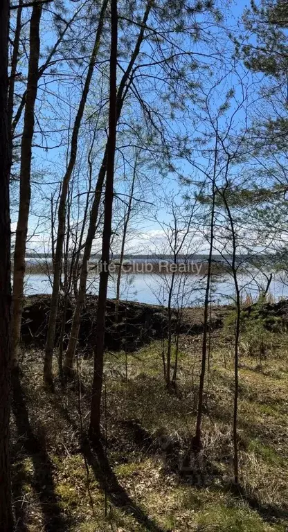 Участок в Ленинградская область, Приозерский район, Плодовское с/пос, ... - Фото 0