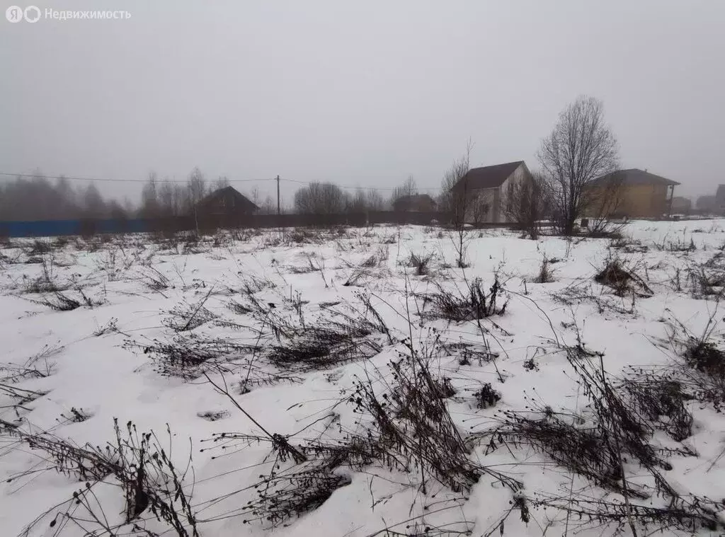 Участок в Череповецкий район, муниципальное образование Югское, ... - Фото 1