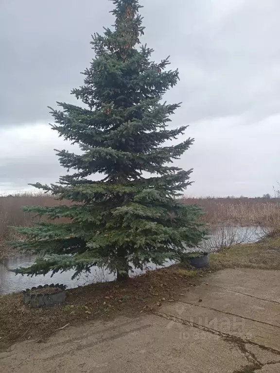 Дом в Татарстан, Нижнекамск муниципальное образование, Строитель СТ  ... - Фото 0