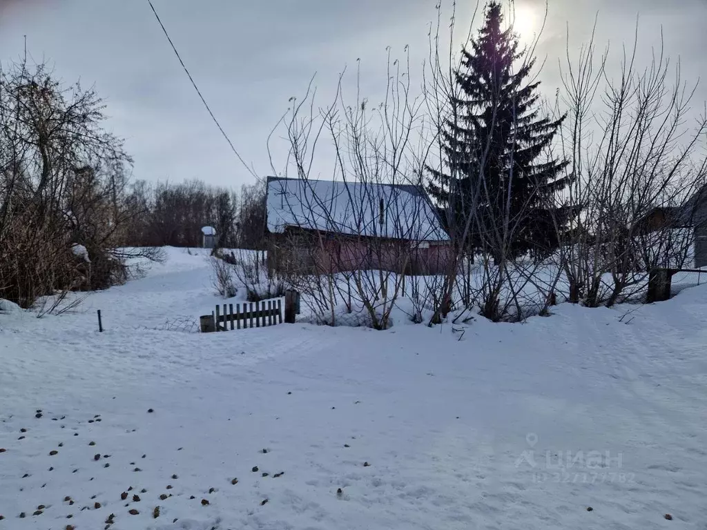 Участок в Алтайский край, Первомайский район, с. Сорочий Лог ул. ... - Фото 2
