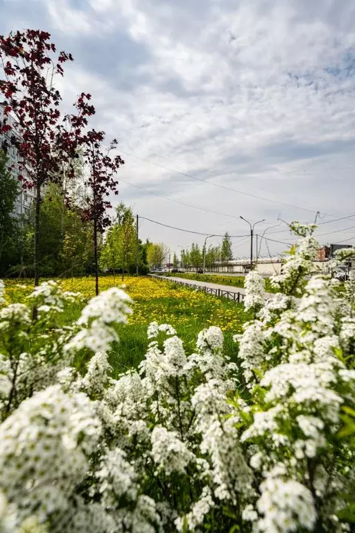 Студия Санкт-Петербург Камышовая ул., 25 (19.97 м) - Фото 1