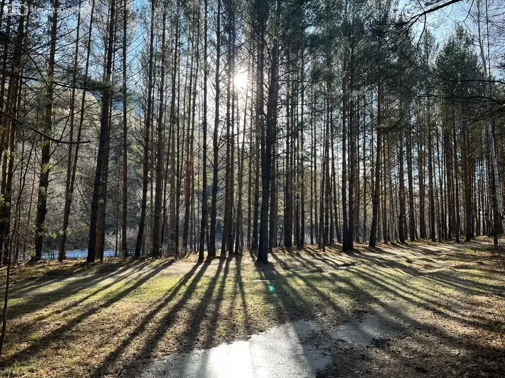 Участок в Иркутский муниципальный округ, посёлок Нижний Кочергат, ... - Фото 1