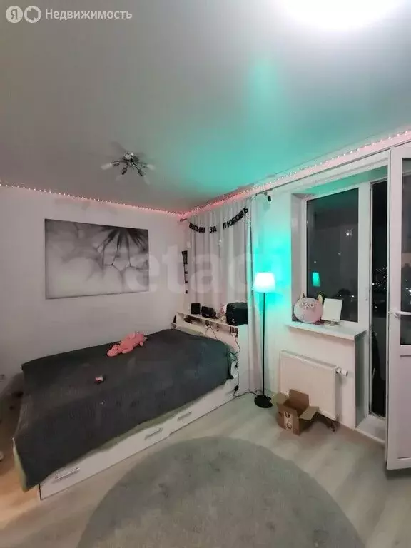 Квартира-студия: Санкт-Петербург, проспект Королёва, 57к1 (27 м) - Фото 2