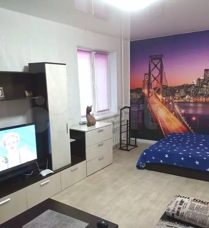 1-к. квартира, 33 м, 1/5 эт. - Фото 0