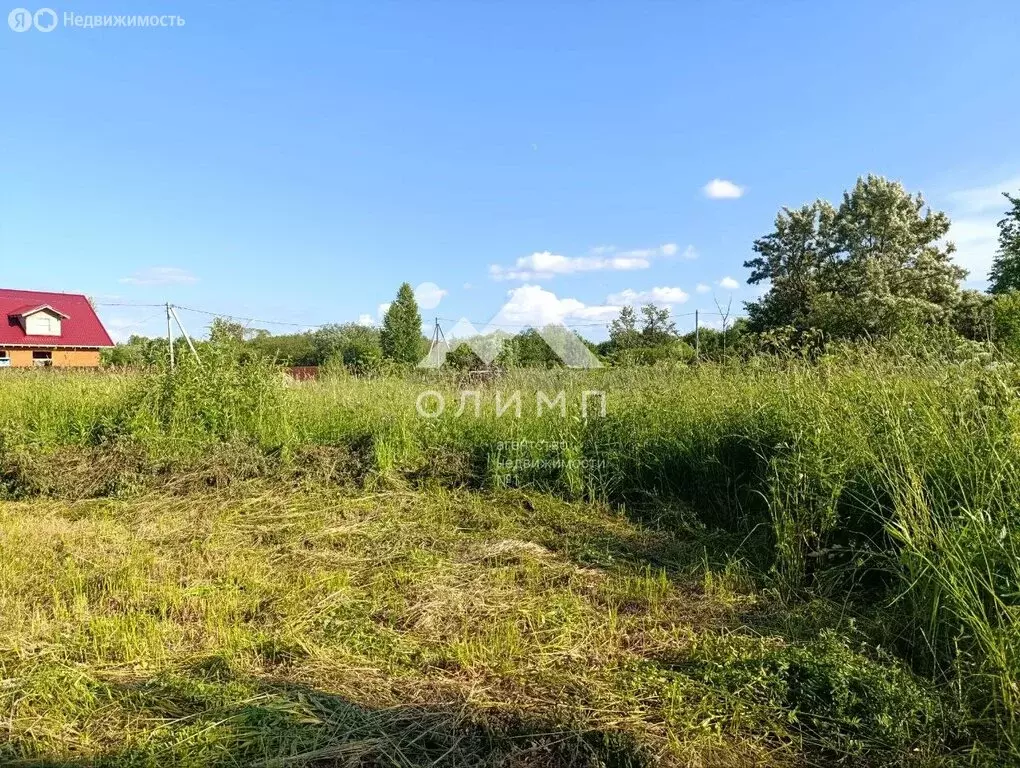 Участок в Вологодский муниципальный округ, деревня Лучниково, 37 ... - Фото 2