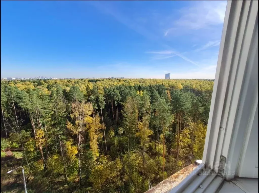 1-к кв. Московская область, Одинцово ул. Кутузовская, 10 (37.1 м) - Фото 0