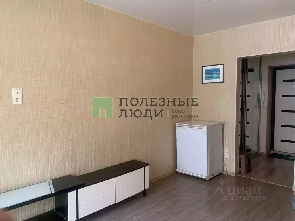 Студия Амурская область, Благовещенский район, с. Чигири Центральная ... - Фото 2