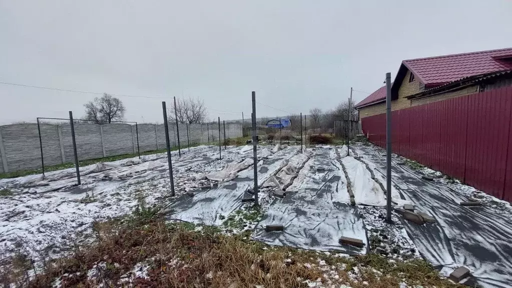Участок в Белгородская область, Яковлевский муниципальный округ, с. ... - Фото 1