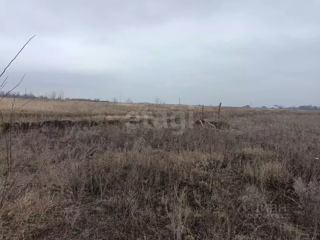 Участок в Курская область, Курский район, Щетинский сельсовет, Саблин ... - Фото 1