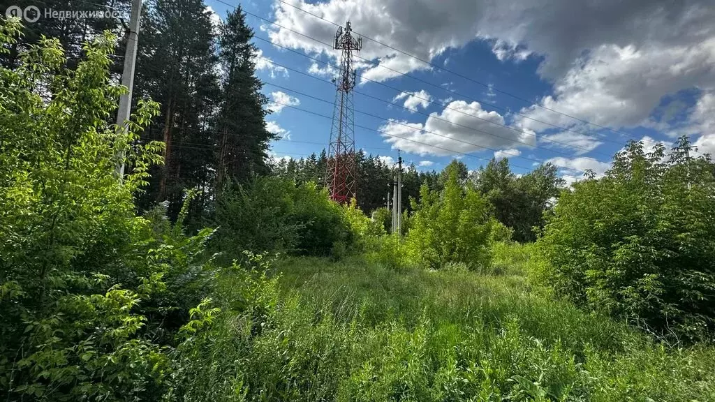 Участок в Нежинка, Ивановская улица (10.88 м) - Фото 0