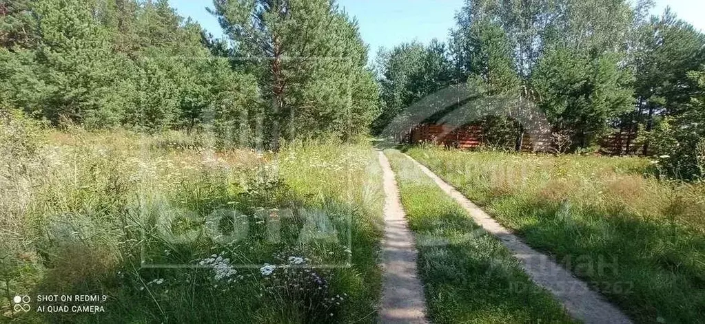 Участок в Воронежская область, Рамонский район, Ступинское с/пос, ... - Фото 2