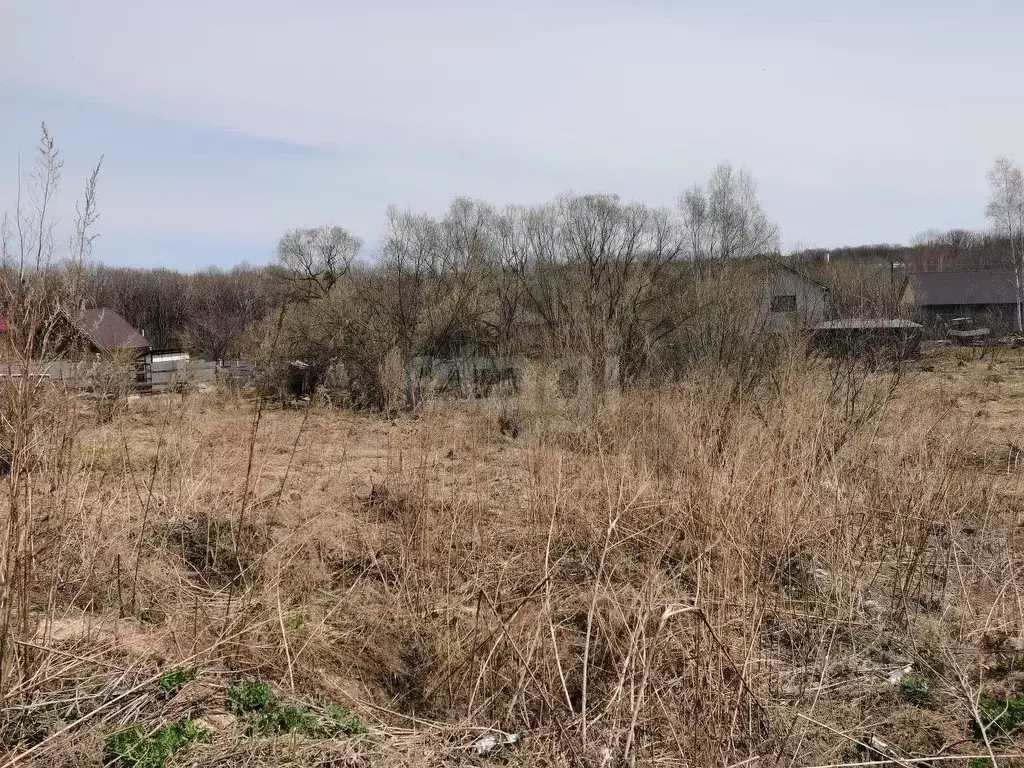 Участок в Хабаровский край, Хабаровский район, Ильинка с/пос, с. ... - Фото 1
