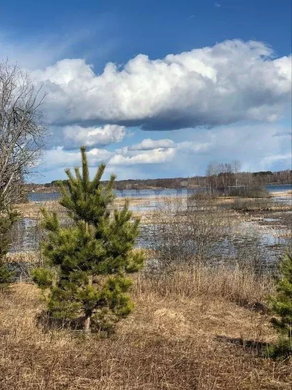 Участок в Тверская область, Осташковский муниципальный округ, д. ... - Фото 2